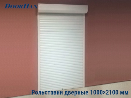 Рольставни на двери 1000×2100 мм в Владивостоке от 36394 руб.