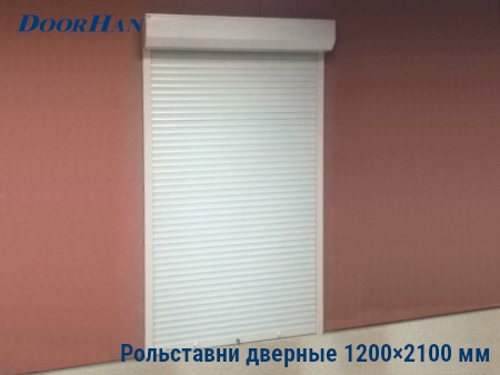 Рольставни на двери 1200×2100 мм в Владивостоке от 40089 руб.
